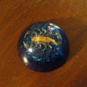 🦂 Scorpion Animal In Plastic Vintage Paperweight